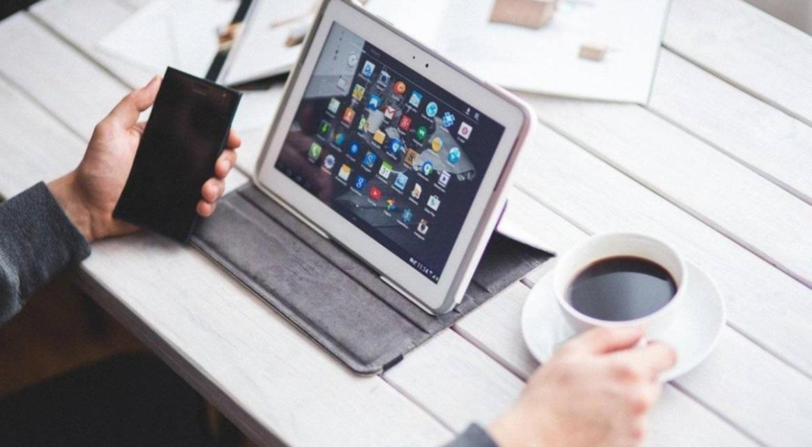 Teilnehmer diskutieren Finanzkontrolle im Webinar